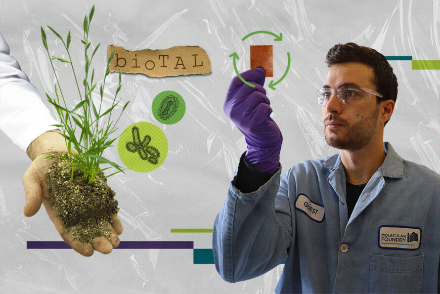 Collage of biotal, a hand holding a plant, and a researcher holding up a recyclable plastic