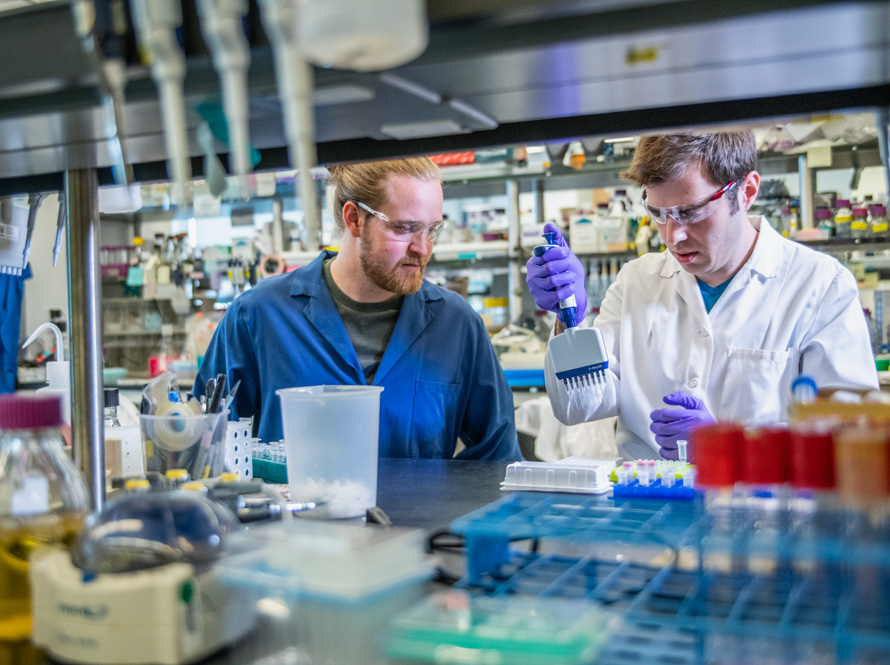 A man in a blue lab coat watches as a colleague in a white lab coat uses a multi-channel pipette in a laboratory. Vials, flasks, and other implements are seen in the foreground, and containers for chemicals fill shelves behind the scientists.